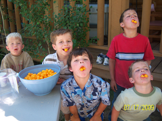 2009 White Family Reunion at Scofield, UT